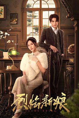 HD国语高清视频大全海报剧照